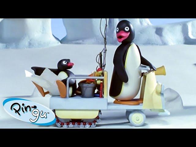 Like Father Like Pingu!  | Pingu - Official Channel | Cartoons For Kids