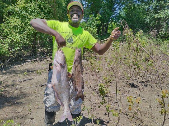 New Mississippi River Spot!!! Couple Nice Size Catfish!!
