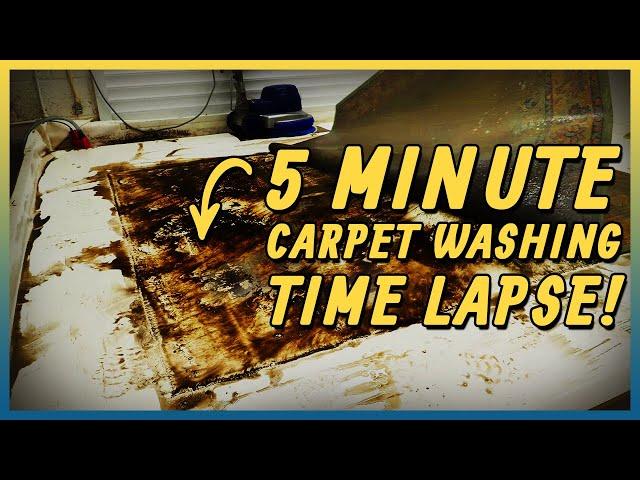 From Filthy to Brand New in Under 5 Minutes | Carpet Cleaning Time Lapse