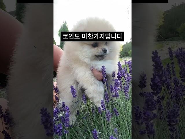 주식과 코인의 핵심! 이것만 알아도 투자 성공합니다