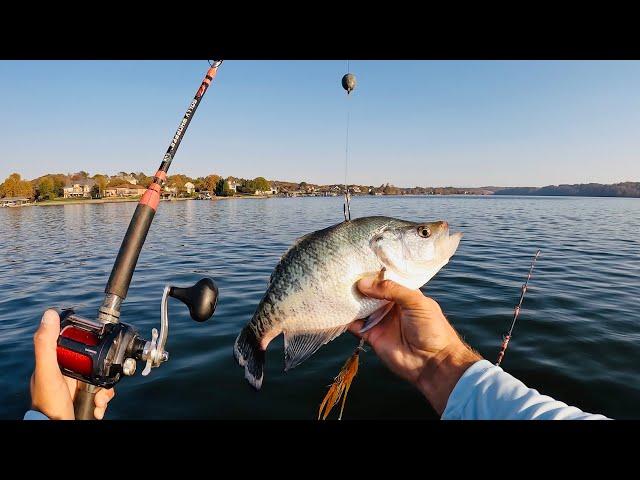 I Used a 14 Inch Crappie for Catfish Bait