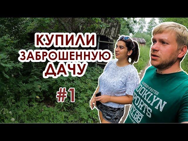 Купили заброшенную дачу #1. Это настоящий лес. Начинаем расчищать участок.