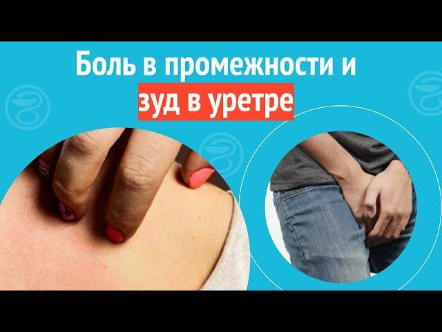  Боль в промежности и зуд в уретре. Клинический случай №1519