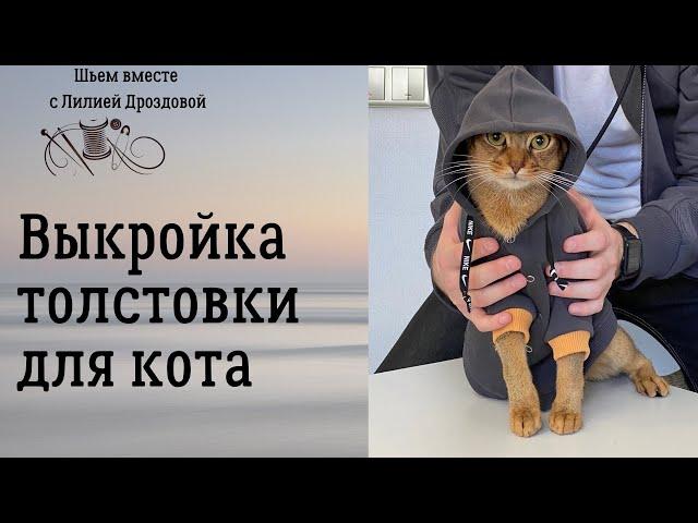 Выкройка толстовки для кота