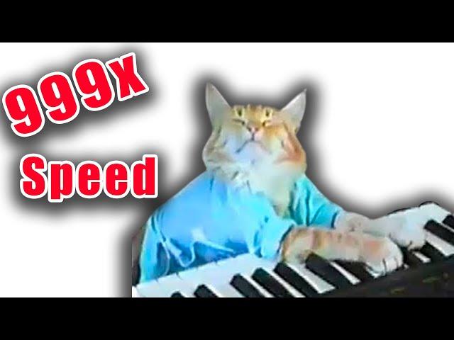 Keyboard Cat But it's 999x Speed