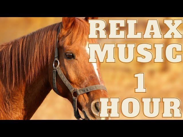 RELAX MUSIC 1 HOUR #music #relax #nature #relaxmusic