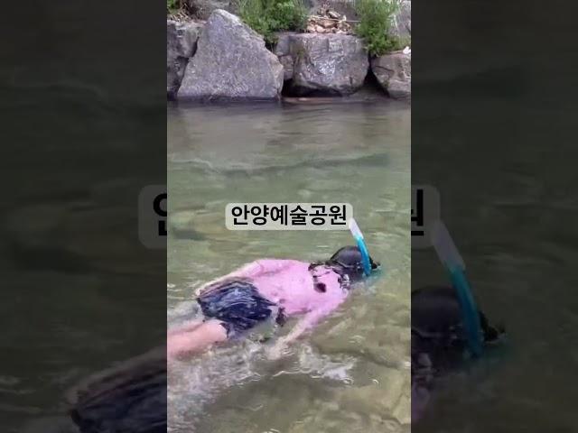 안양예술공원에서 스노쿨링