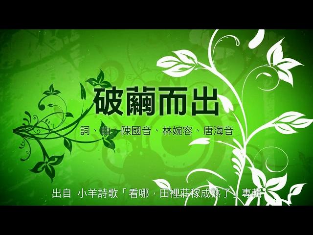 破繭而出 | 小羊詩歌《看哪, 田裡莊稼成熟了》專輯