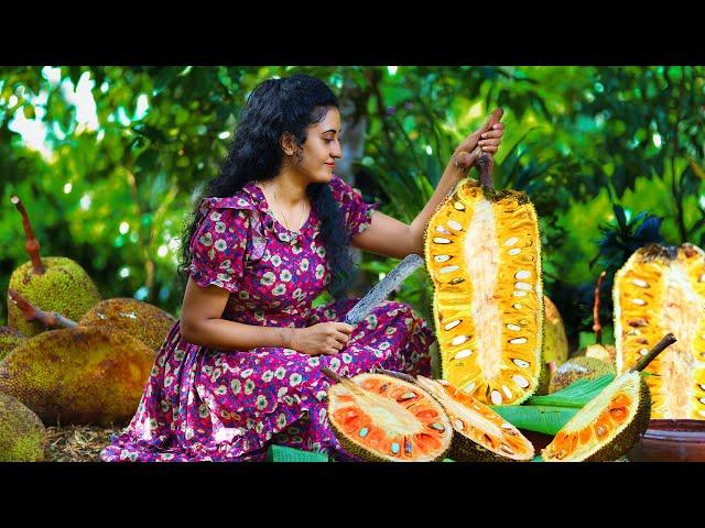 Well-Ripened Pink Jackfruit  Creating Kesari & Young Coconut Drink [Traditional Sri Lankan Cooking]