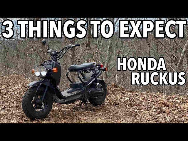 3 Things You MUST EXPECT getting HONDA RUCKUS