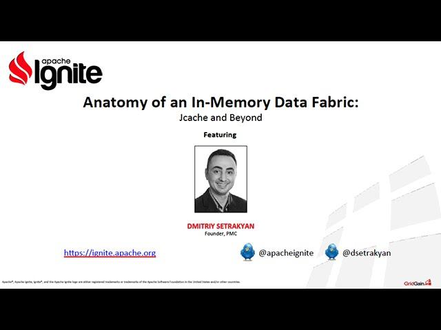 Anatomy of an In Memory Data Fabric