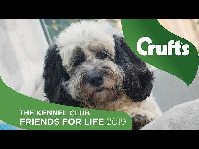 Ollie and Snoopy - The Kennel Club Friends for Life 2019