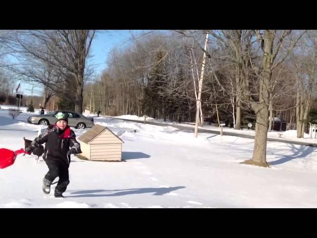 Jukin Media Two wild Turkeys attack scared boy