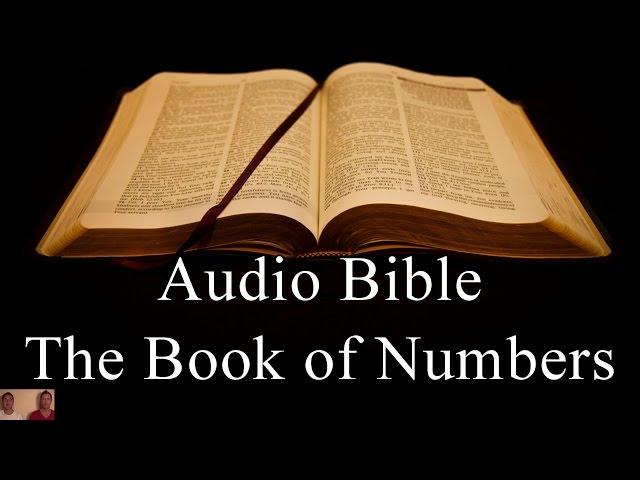 The Book of Numbers - NIV Audio Holy Bible - High Quality and Best Speed - Book 4