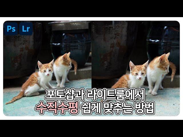 포토샵과 라이트룸에서 수직수평 맞추는 방법
