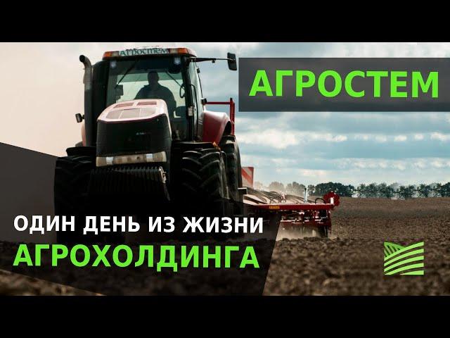 Один день из жизни агрохолдинга: Агростем (Агрейн) | Latifundist