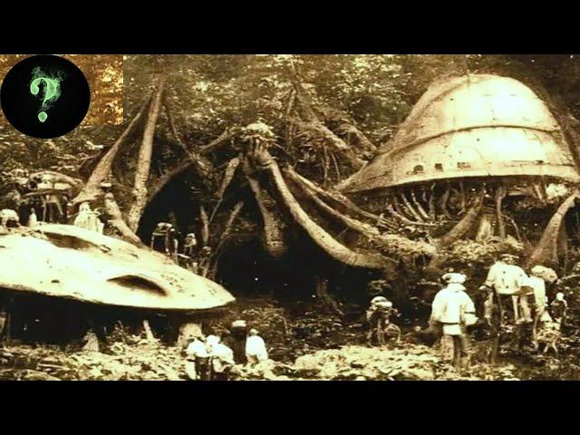 Alien-Tech Recovered From Jungle?