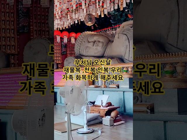 소원성취 기도 발원문 #부처님오신날 #재물복 #천복 #인복 #출처는 소원성취 #가족건강기원 #업장소멸  나무관세음보살 인복을 주시고 업장을 소멸시커 주세요