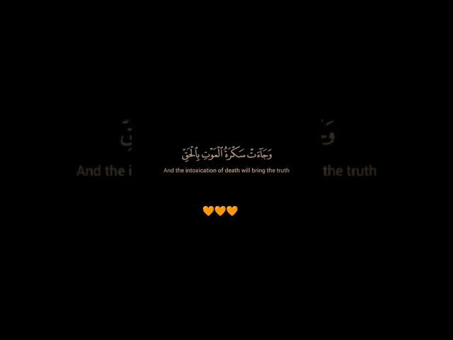 سورة ق / القارئ حمزة بوديب / تلاوة خاشعة ومؤثرة بصوت يريح سمعك وقلبك