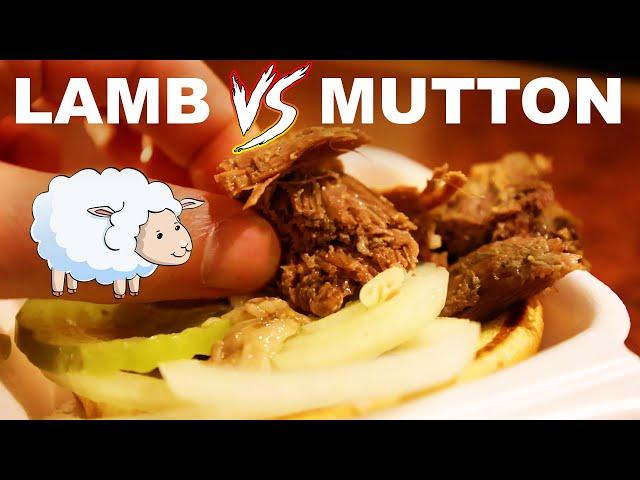 Why sheep (lamb, mutton) tastes sheepy