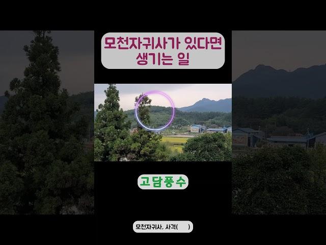 대대로 바람을 핀다면? #shorts  #풍수 #명당