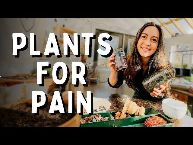 I Bought 10 Medicinal Herbs For Chronic Pain