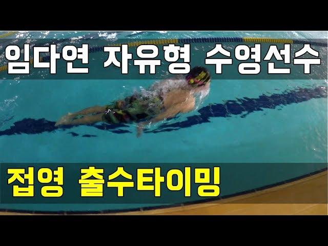 SHC 수영 강좌_임다연 코치님  접영 드릴(출수타이밍)