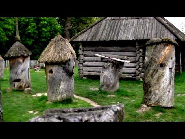 National Museum of Folk Architecture and Rural Life of Ukraine! Kyiv. Part 2