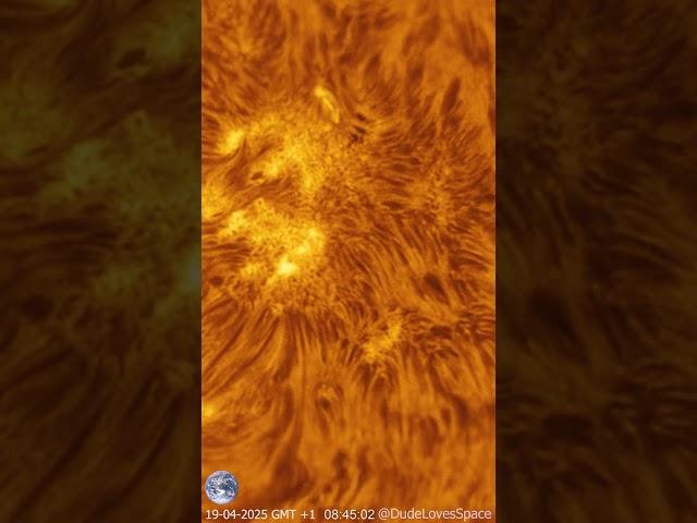 Sun Close Up Featuring a Solar Plage Captured From My Backyard #astronomy #astrophotography #space