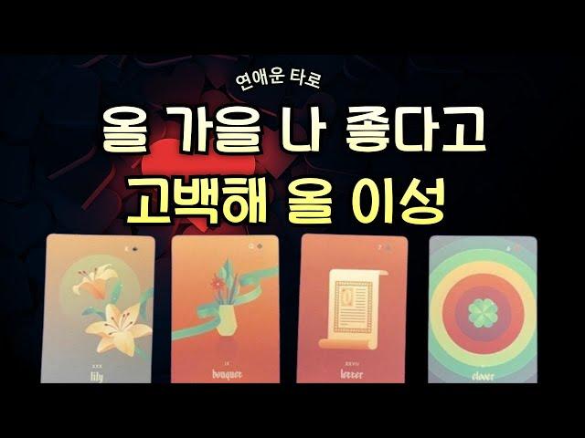 [타로/연애운] ️올 가을 나 좋다고 고백해 ️올 이성