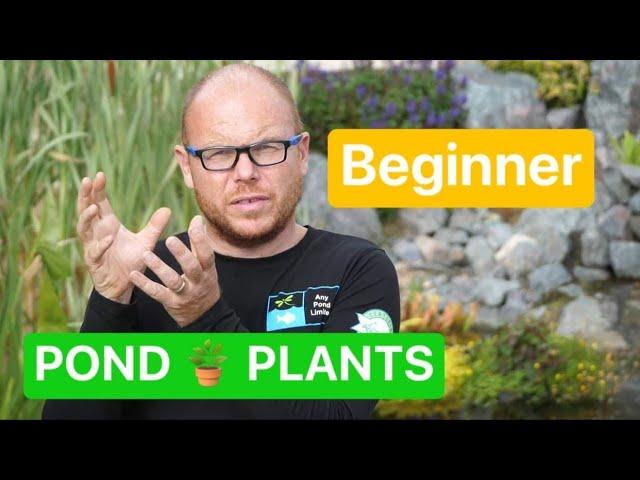 "Got Questions About Pond Plants? We've Got Answers!"