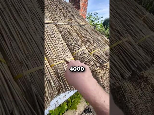 How This Ancient Roof Technique Remains Effective  (@thethatchingguy)