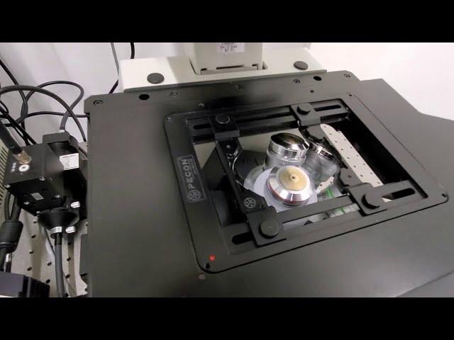 Fluorescence Microscopy - Hardware, Software and Demonstration