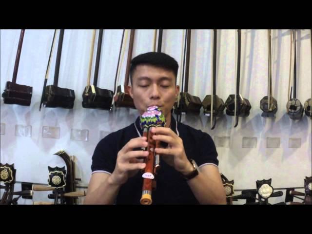 [DEMO] Jing Tai Lan (Cloisonne) Hulusi | Eason Music Store