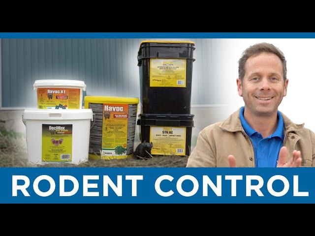 Rodent Control - Feature Product Friday