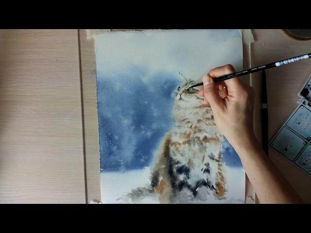 Картина акварелью Снежный кот. Speed painting