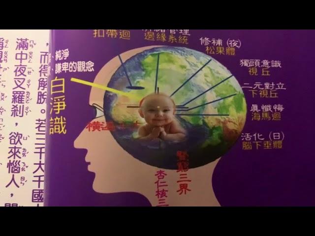 若 復有人臨當被害稱觀世音菩薩名者 普門品第六集￼