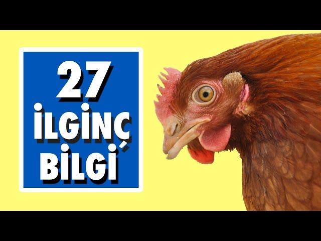 İlk Defa Duyacağınız 27 Kısa Bilgi