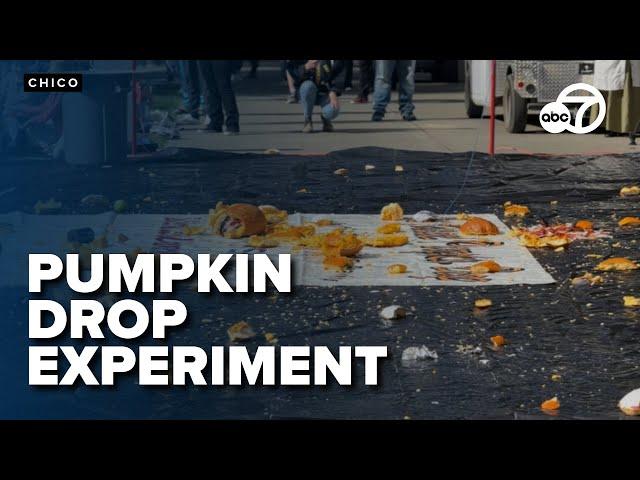 Chico State's annual Pumpkin Drop Experiment teaches physics to local elementary students