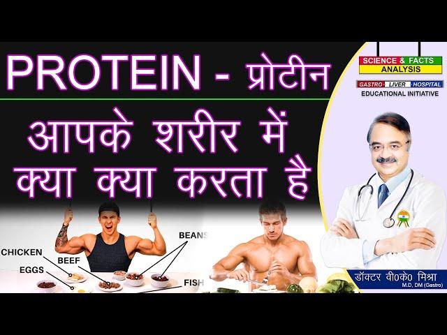 प्रोटीन आपके शरीर में क्या क्या करता है || WHAT PROTEIN DOES FOR YOUR BODY