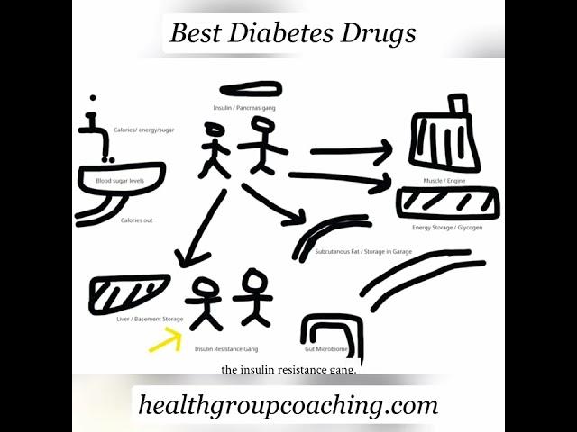 Insulin Resistance: Lipotoxicity & Fat Storage Dangers Explained