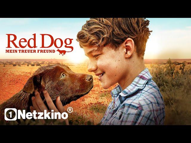 Red Dog: True Blue (ADVENTURE FILM in full length, family films German complete 2024)