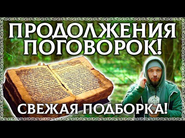 ПОГОВОРКИ! Утерянное продолжение русских пословиц и поговорок! Новая подборка!