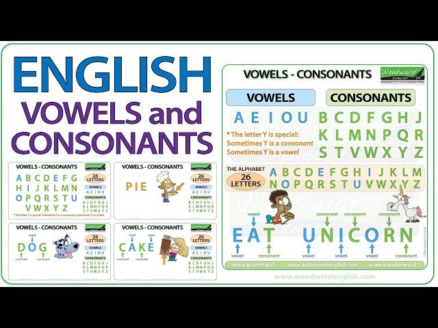 Vowels in English - Consonants in English - The Alphabet in English