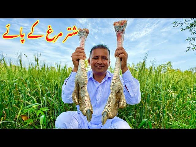 Shutar Murgh Paye Recipe | Cooking Huge Long OSTRICH LEGS | Mubashir Saddique | Village Food Secrets