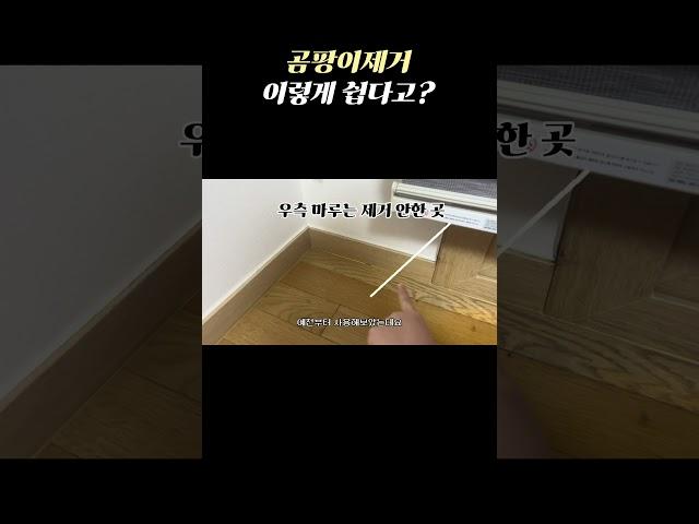 곰팡이제거 이렇게 쉽다고?