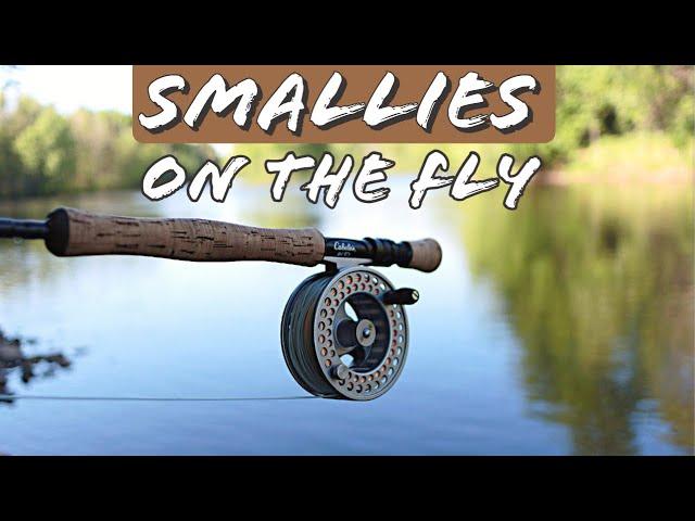 Fly Fishing River Smallmouth Bass | Upper Peninsula Michigan