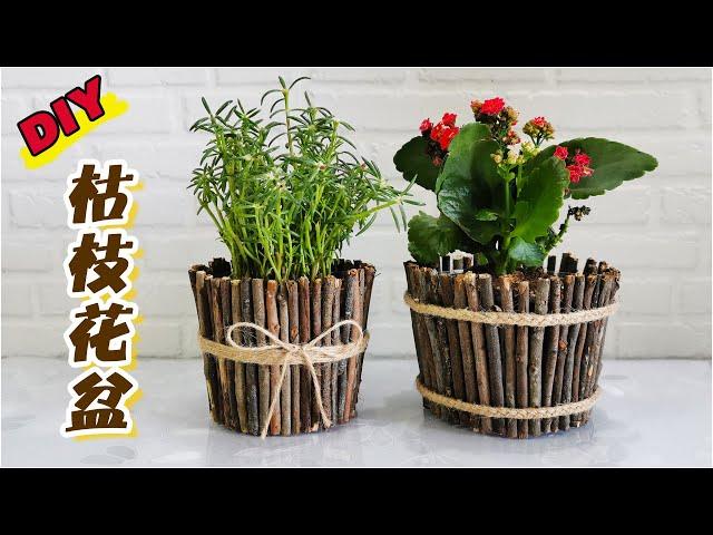 樹枝DIY環保花盆~打包餐盒不要扔了，做成樹枝花盆，秒變小清新盆栽！