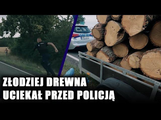 "Skąd ty masz to drewno?". Mężczyzna kłamał policjantom w żywe oczy