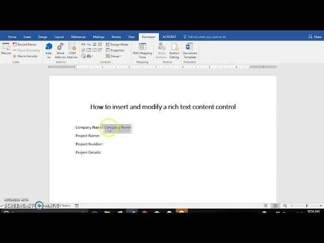 How to insert and modify a rich text content control